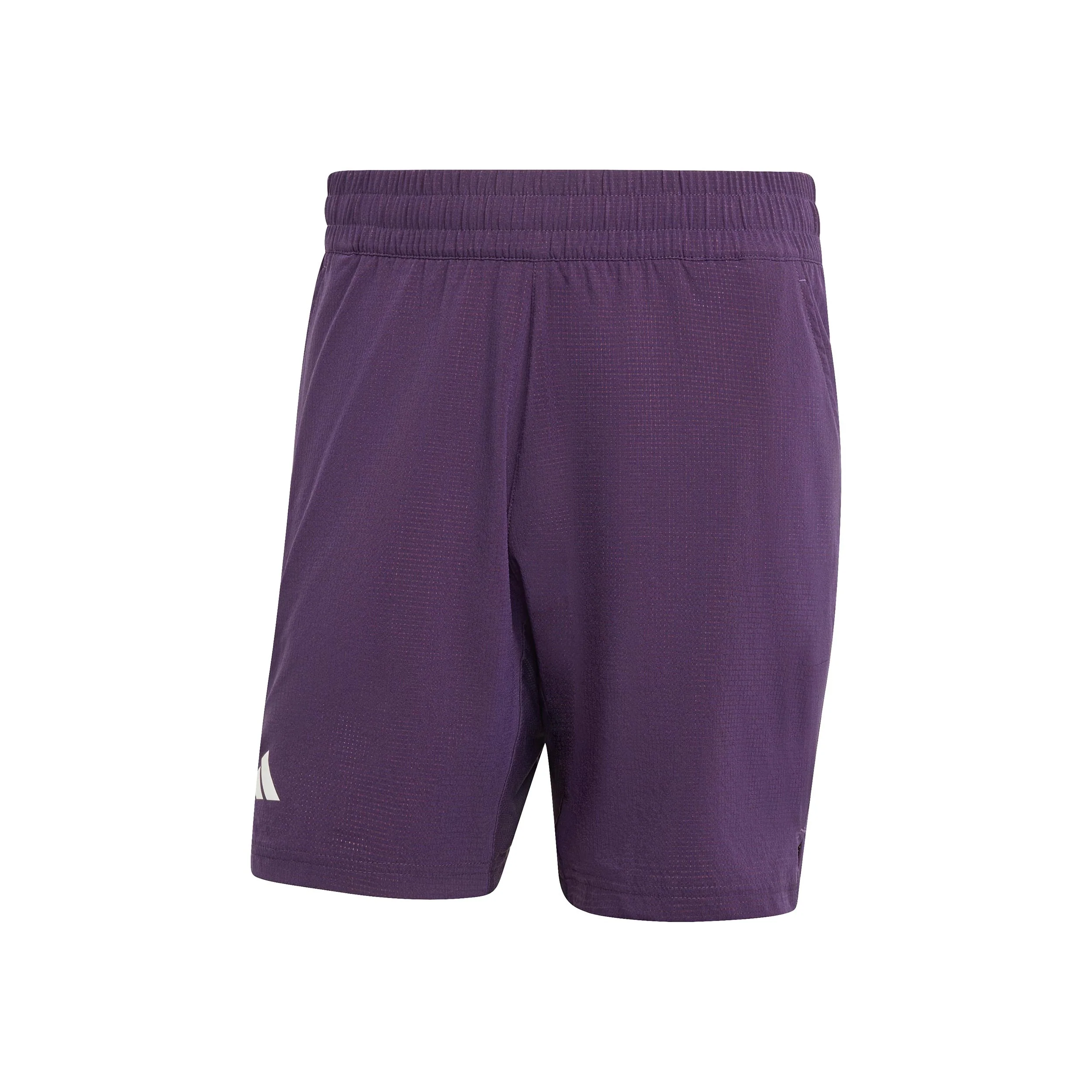 7Inch Ergo Shorts Herrar - lila