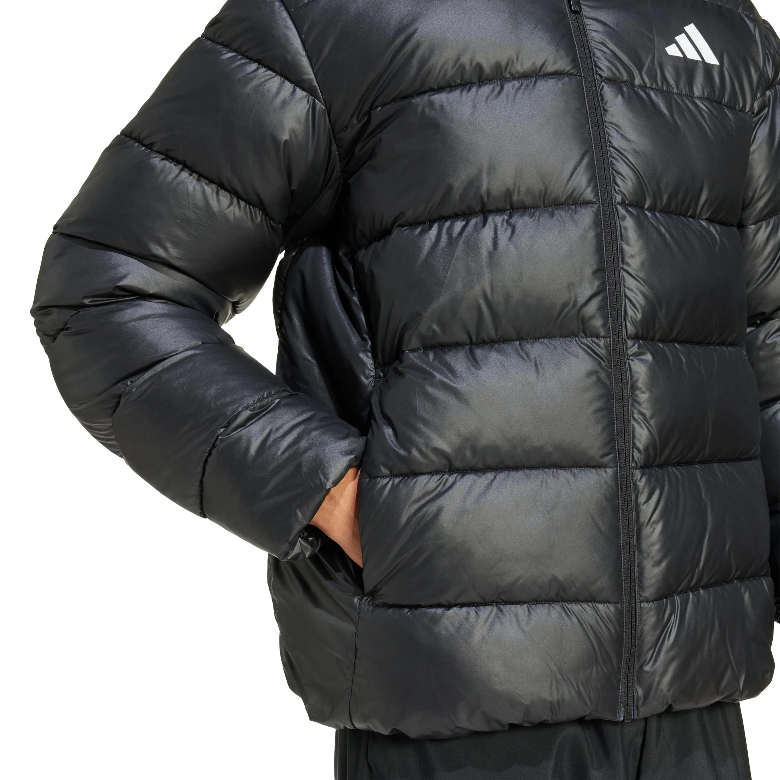 Essential Dunjacka Herrar-svart - Image 6