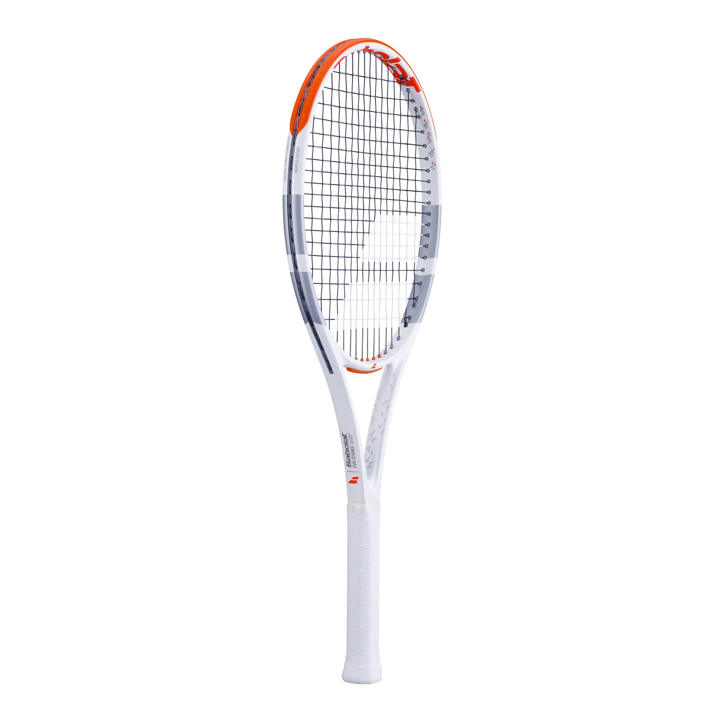 Evo Strike - Image 2